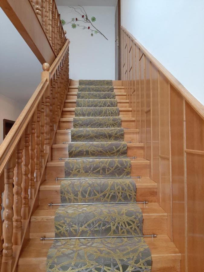 Apartmaji Tisa Moravske Toplice Luaran gambar